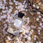 عطر ادکلن دونت کرای فور می آلتایا - Don't Cry For Me ALTAIA - بررسی، قیمت و خرید