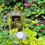 عطر ادکلن ابدین لاوندر کرید - Aberdeen Lavender Creed - بررسی، قیمت و خرید