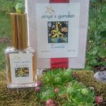عطر ادکلن فیِرچایلد آنیا گاردن - Fairchild Anya's Garden - بررسی، قیمت و خرید