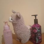 عطر ادکلن اینچنتد کندی پوشن بث اند بادی ورکز - Enchanted Candy Potion Bath & Body Works - بررسی، قیمت و خرید