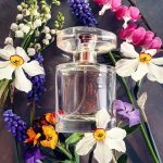 عطر ادکلن دایان او دو توالت دایان فون فورستنبرگ - Diane Eau de Toilette Diane von Furstenberg - بررسی، قیمت و خرید