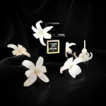 عطر ادکلن کوکو نوآر شنل - Coco Noir Chanel - بررسی، قیمت و خرید