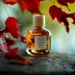 عطر ادکلن تارتوفو بروکارد - Tartufo Brocard - بررسی، قیمت و خرید