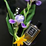 عطر ادکلن سدره آیریس افینسنس - Cedrè Iris Affinessence - بررسی، قیمت و خرید