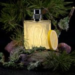 عطر ادکلن هجده هشتاد و یک من چروتی - 1881 Men Cerruti - بررسی، قیمت و خرید