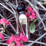 عطر ادکلن پویزن گرل او دو تویلت رولر پرل دیور - Poison Girl Eau de Toilette Roller Pearl Dior - بررسی، قیمت و خرید