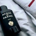 عطر ادکلن اود او دو پرفیوم آکوا دی پارما - Oud Eau de Parfum Acqua di Parma - بررسی، قیمت و خرید
