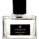 عطر ادکلن چارمینگ نایت ادو پرفیوم سزیم - Charming Night Eau De Parfum Cesium - بررسی، قیمت و خرید