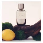 عطر ادکلن وی اتره برانلو کوچینلی - Vie Eteree Brunello Cucinelli - بررسی، قیمت و خرید