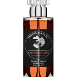 عطر ادکلن چامپورادو کویوتل - Champurrado Coyotl - بررسی، قیمت و خرید