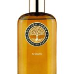 عطر ادکلن تی سنتو دیویینا ترا - Ti Sento DiVina Terra - بررسی، قیمت و خرید