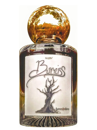 عطر ادکلن برنیس هیون‌هالو - Burniss Havenhollow - بررسی، قیمت و خرید