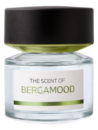 عطر ادکلن بِرگامود بی ام و فرگرنسز - Bergamood BMW Fragrances - بررسی، قیمت و خرید