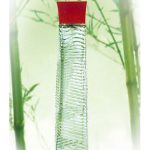 عطر ادکلن ناتسومی اَنایاکه - Natsumi Annayake - بررسی، قیمت و خرید
