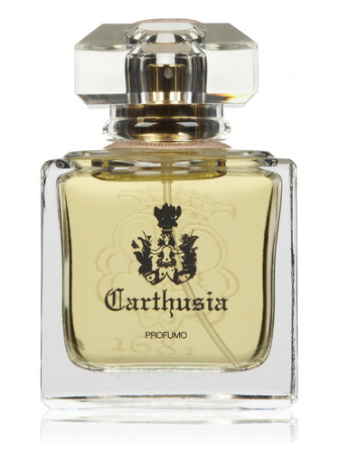 عطر ادکلن کارتوسیا لیدی کارتوسیا - Carthusia Lady Carthusia - بررسی، قیمت و خرید