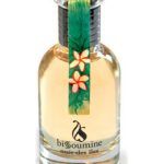 عطر ادکلن نویی دز ایله بیسومین - Nuit des Iles Bissoumine - بررسی، قیمت و خرید
