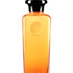 عطر ادکلن اُو دو ماندارین آمبره اِرمِس - Eau de Mandarine Ambrée Hermès - بررسی، قیمت و خرید