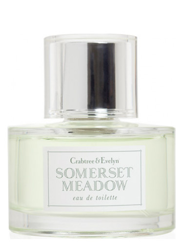 عطر ادکلن سامرست مدو کراب‌تری اند اولین - Somerset Meadow Crabtree & Evelyn - بررسی، قیمت و خرید