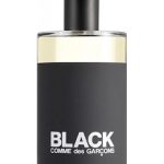 عطر ادکلن بلاک او دو تویلت کوم د گارسون - Black Eau de Toilette Comme des Garcons - بررسی، قیمت و خرید