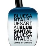 عطر ادکلن بلو سانتال کوم د گارسون - Blue Santal Comme des Garcons - بررسی، قیمت و خرید