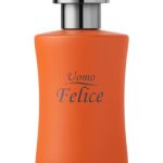 عطر ادکلن اوُمو فلیچه فابرلیک - Uomo Felice Faberlic - بررسی، قیمت و خرید