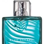 عطر ادکلن بِلو اِسکِیپ فور هیم ایوون - Blue Escape for Him Avon - بررسی، قیمت و خرید