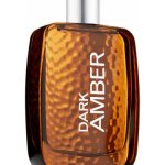 عطر ادکلن دارک امبر فور من بت اند بادی ورکس - Dark Amber for Men Bath & Body Works - بررسی، قیمت و خرید