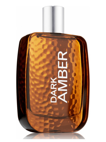 عطر ادکلن دارک امبر فور من بت اند بادی ورکس - Dark Amber for Men Bath & Body Works - بررسی، قیمت و خرید