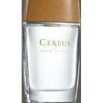 عطر ادکلن سریوس نامبر فور سريوس - Cereus No.4 Cereus - بررسی، قیمت و خرید