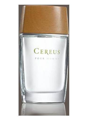 عطر ادکلن سریوس نامبر فور سريوس - Cereus No.4 Cereus - بررسی، قیمت و خرید