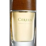 عطر ادکلن سریوس نامبر سون سریوس - Cereus No.7 Cereus - بررسی، قیمت و خرید