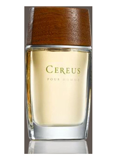 عطر ادکلن سریوس نامبر سون سریوس - Cereus No.7 Cereus - بررسی، قیمت و خرید