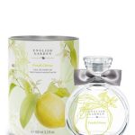 عطر ادکلن فرش سیترس اَتكینسونز - Fresh Citrus Atkinsons - بررسی، قیمت و خرید