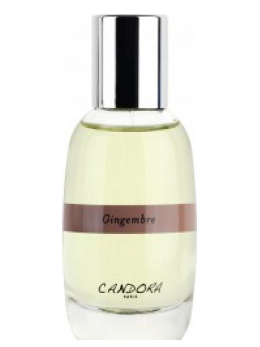 عطر ادکلن ژانجبیر کندورا - Gingembre Candora - بررسی، قیمت و خرید