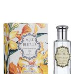 عطر ادکلن اولیاندرو دی پانارئا آکوا دی ایتالیا - Oleandro di Panarea Acque di Italia - بررسی، قیمت و خرید