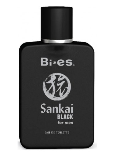 عطر ادکلن سنکای بلک بیس - Sankai Black Bi-es - بررسی، قیمت و خرید