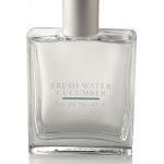 عطر ادکلن فرش‌واتر کیوکامبر بث اند بادی ورکس - Freshwater Cucumber Bath & Body Works - بررسی، قیمت و خرید