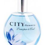 عطر ادکلن لو پار لو سیل سیتی پرفیوم - L'eau par le Ciel City Parfum - بررسی، قیمت و خرید