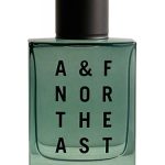 عطر ادکلن ای اند اف نورت‌ایست ابرکرومبی اند فیچ - A & F Northeast Abercrombie & Fitch - بررسی، قیمت و خرید