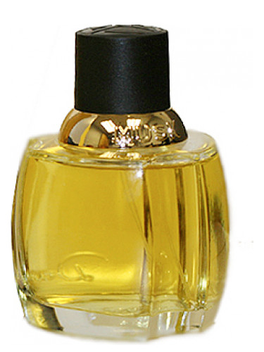 عطر ادکلن ماسک دانا - Musk Dana - بررسی، قیمت و خرید