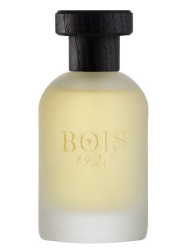 عطر ادکلن ریِل پَچولی بویس ۱۹۲۰ - Real Patchouly Bois 1920 - بررسی، قیمت و خرید