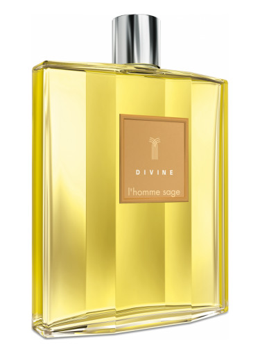 عطر ادکلن لوم ساژ دایوین - L'Homme Sage Divine - بررسی، قیمت و خرید