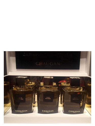 عطر ادکلن تر د پرس چوگان - Terre de Perse Chaugan - بررسی، قیمت و خرید