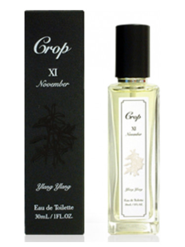 عطر ادکلن نوامبر یازدهم کراپ - XI November Crop - بررسی، قیمت و خرید