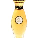عطر ادکلن نویی دو نوئل کارون - Nuit de Noel Caron - بررسی، قیمت و خرید