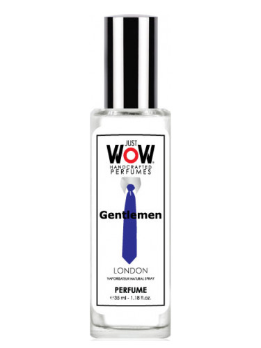 عطر ادکلن جاست واو جنتلمن کرواتین پرفیوم هاوس - Just Wow Gentlemen Croatian Perfume House - بررسی، قیمت و خرید