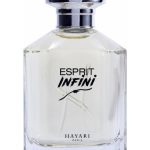 عطر ادکلن اسپریت اینفینی هیاری پرفیومز - Esprit Infini Hayari Parfums - بررسی، قیمت و خرید