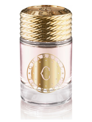 عطر ادکلن اینفینیت کلتیک فور وومن شَریول - Infinite Celtic For Women Charriol - بررسی، قیمت و خرید