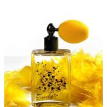 عطر ادکلن توییتی آکولینا - Tweety Aquolina - بررسی، قیمت و خرید