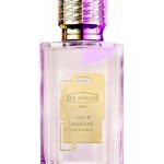 عطر ادکلن صد و نوزده واندرز ایکس نیهیلوم - 10019 Wonders Ex Nihilo - بررسی، قیمت و خرید